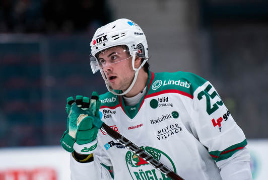 Rögles Ludvig Elvenes