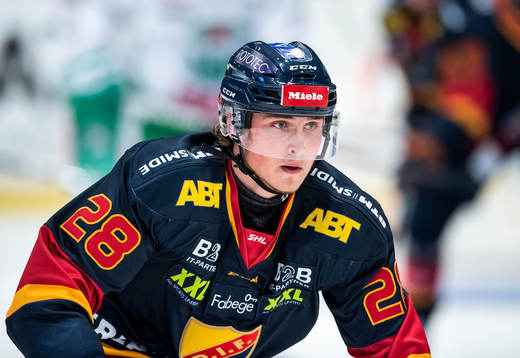 Djurgårdens William Wiå