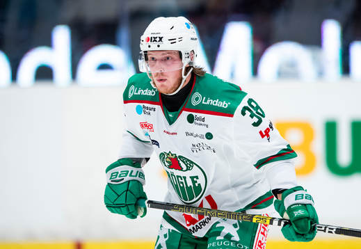 Rögles Erik Andersson
