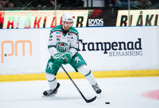 Rögles Ted Brithén