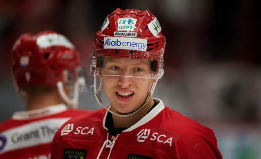Timrås Vilmos Gallo