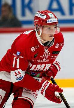 Timrås Henrik Törnqvist