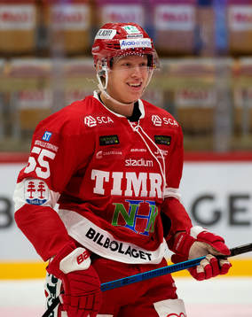 Timrås Vilmos Gallo