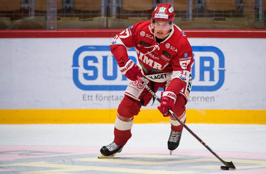 Timrås Anton Wedin