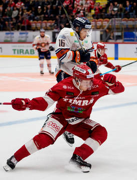 Timrås Vilmos Gallo och Växjös Austin Ortega