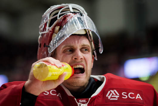 Timrås målvakt Niklas Svedberg