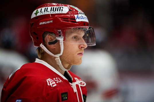 Timrås Alexander Falk