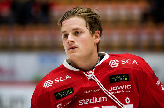 Timrås Henrik Törnqvist