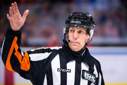 Domare Morgan Johansson