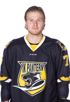 Bläddra bland fler bilder av Ishockey, Hockeyallsvenskan, Portrtätt, Pantern