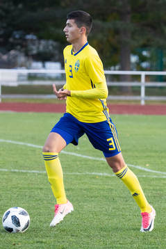 Sveriges Emin Hasic  i landskampen i fotboll mellan Sverige