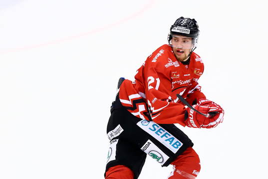 Vita Hästens Kevin Elgestål