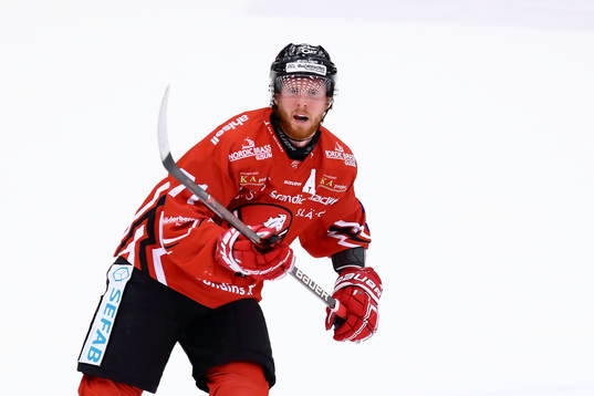 Vita Hästens Christopher Fish