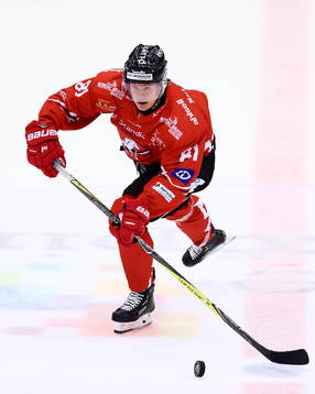Vita Hästens Erik Borg
