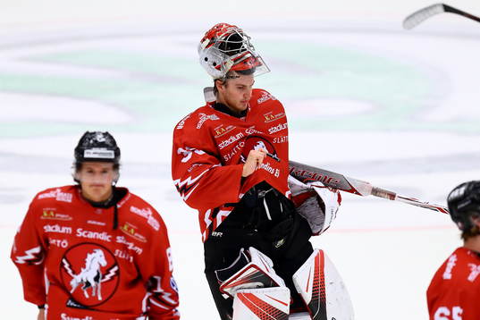 Vita Hästens målvakt Marcus Hellgren Smed deppar