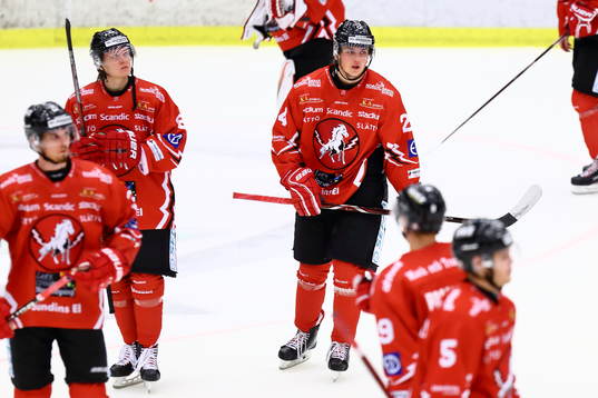 Vita Hästens Axel Levander deppar