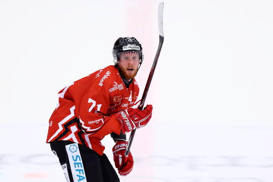 Vita Hästens Christopher Fish