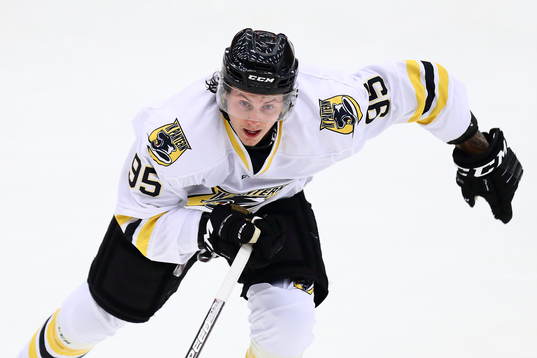Bläddra bland fler bilder av Ishockey, Hockeyallsvenskan, Vita Hästen - Pantern