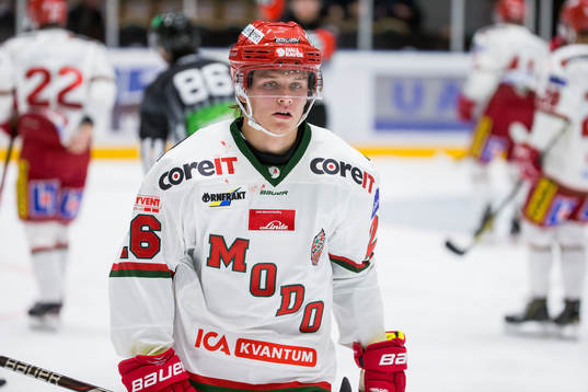 Modos Tom Hedberg