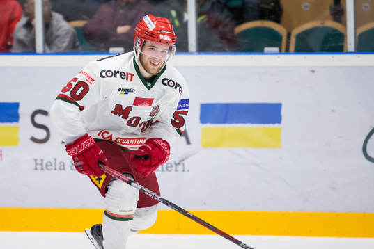 Modos Tim Wahlgren