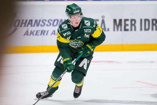 Björklövens Oskar Stål-Lyrenäs