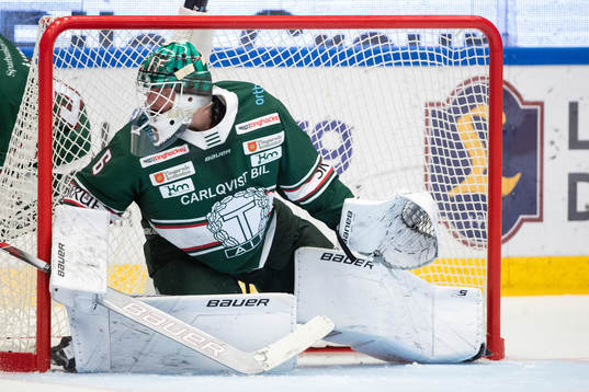 Tingsryds målvakt Tex Williamsson   i ishockeymatchen i