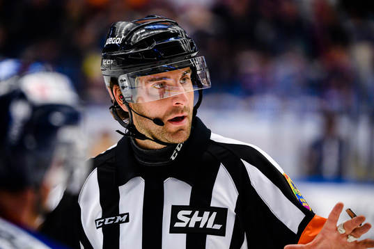 Domare Mikael Sjökvist