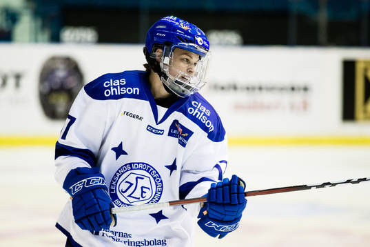 Leksands Danielle Stone