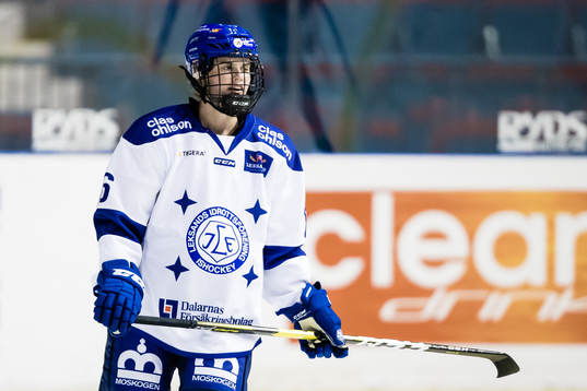 Leksands Gracen Hirschy