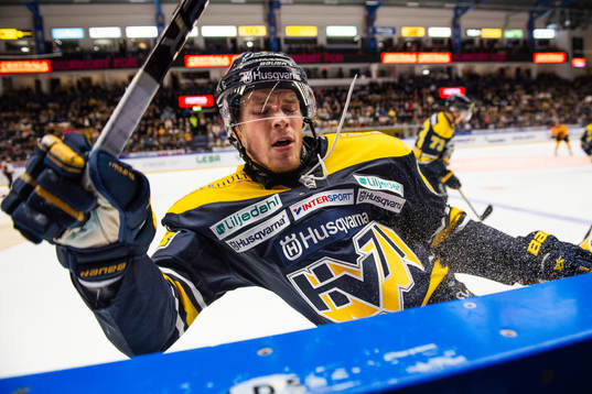 s Mikko Lehtonen