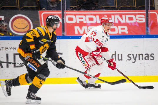 Skellefteås Emil Djuse