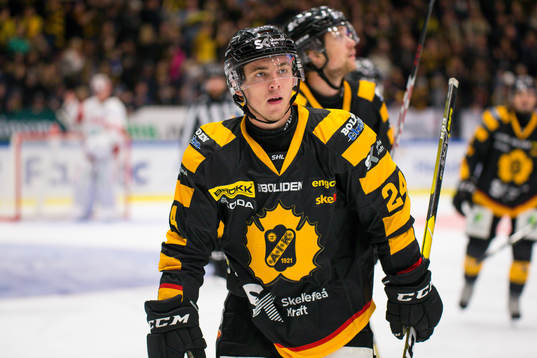 Skellefteås Andreas Wingerli  jublar