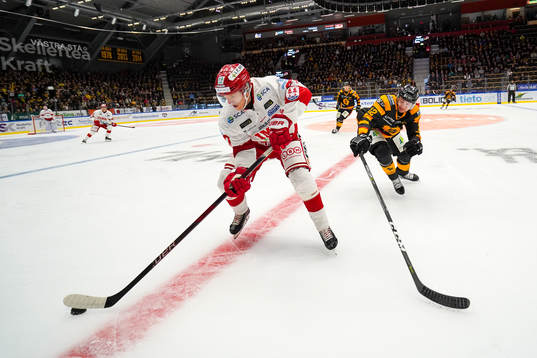 Skellefteås Adam Pettersson