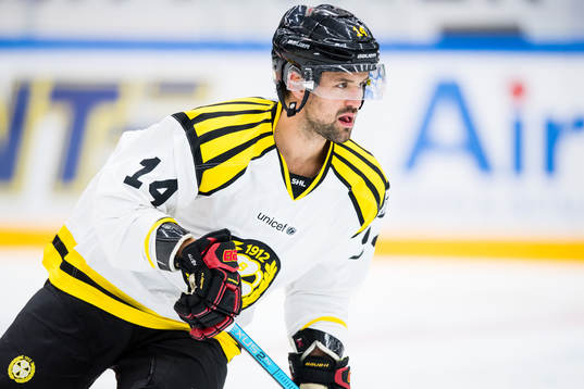 Brynäs Johan Alcén