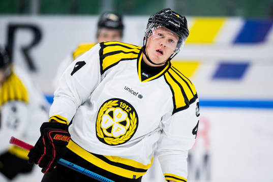 Brynäs Niclas Lundgren