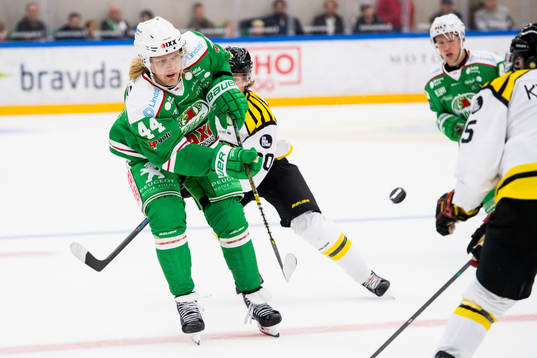 Rögles Olle Liss