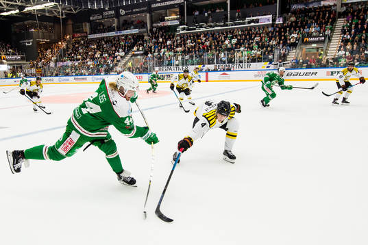 Rögles Olle Liss och Brynäs Niclas Lundgren