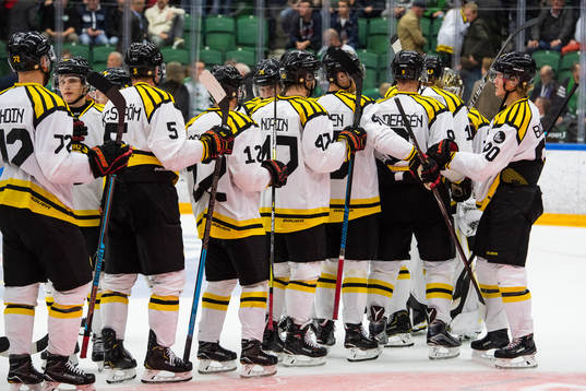 Brynäs spelare jublar