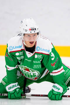 Rögles Daniel Bertov