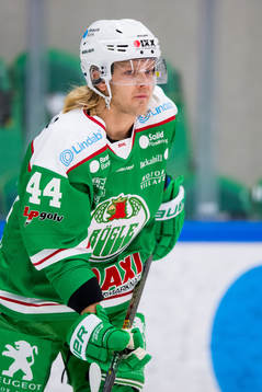 Rögles Olle Liss