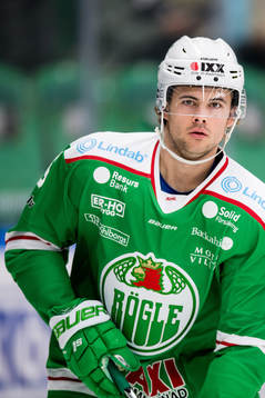 Rögles Ludvig Elvenes