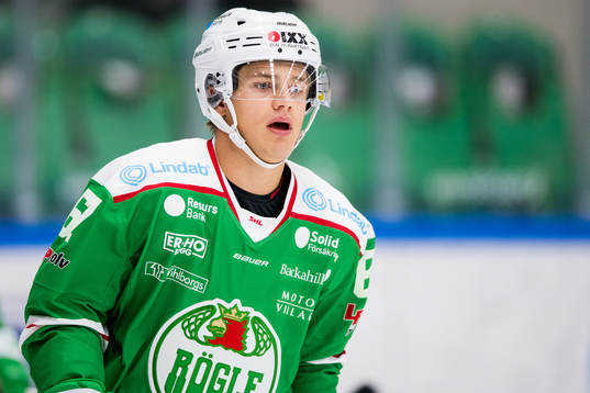 Rögles Leon Bristedt