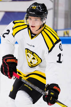 Brynäs Samuel Asklöf