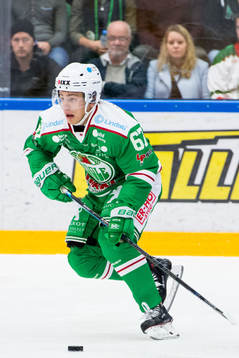Rögles Leon Bristedt