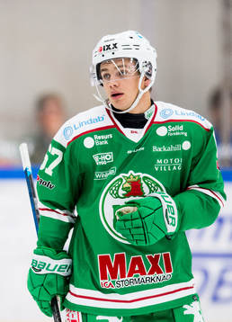 Rögles Leon Bristedt