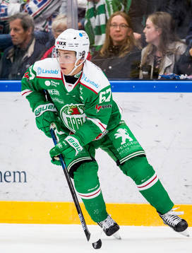 Rögles Leon Bristedt