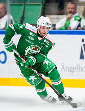 Rögles Simon Ryfors
