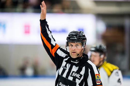 Domare Mikael Nord