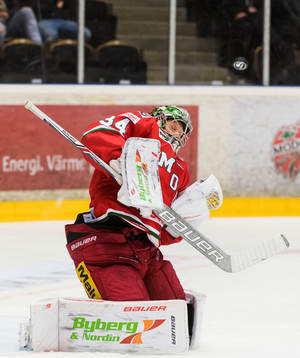 målvakt Erik Hanses