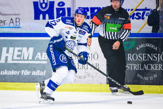 Leksands Wilde Bröms